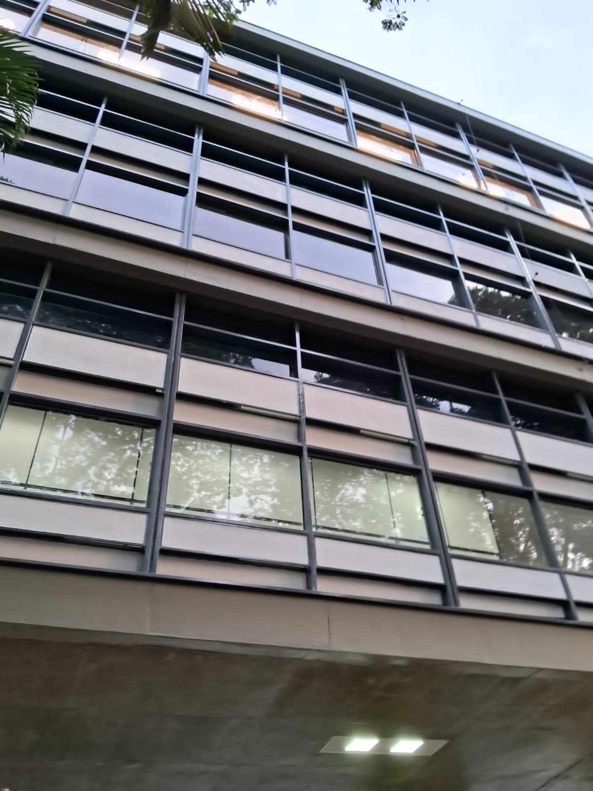 Espelhado Unicamp Pintura 3